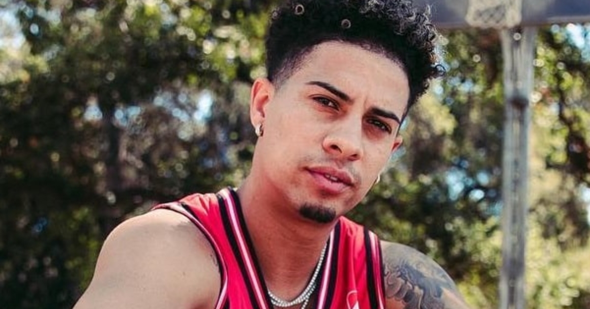 austin mcbroom net worth