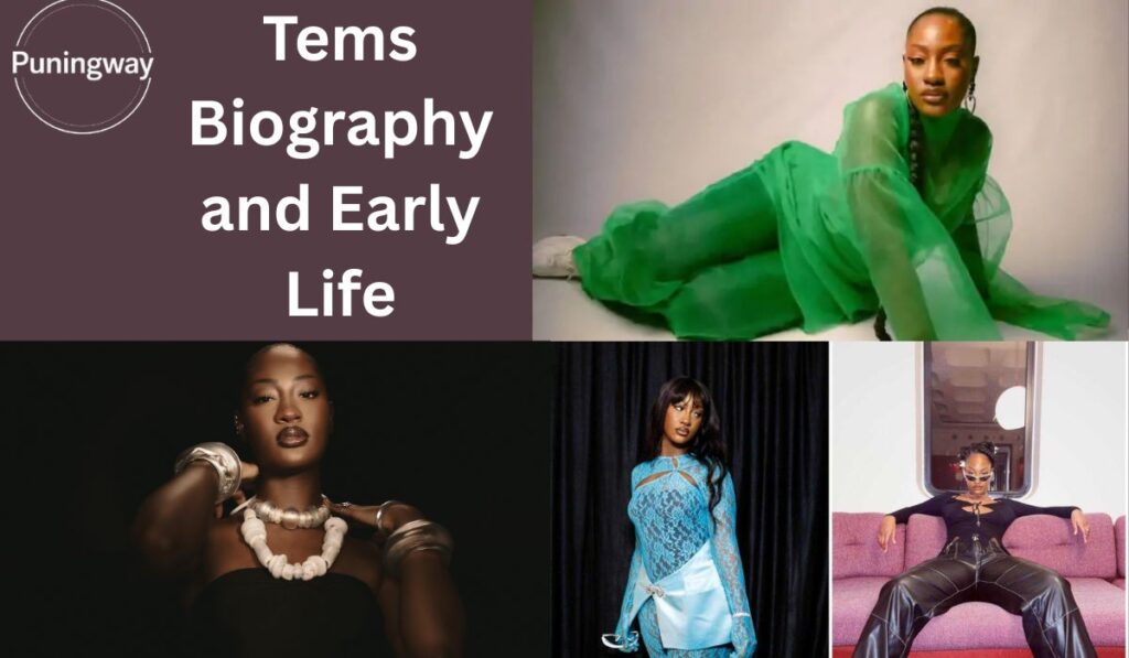 tems-biography-and-early-life